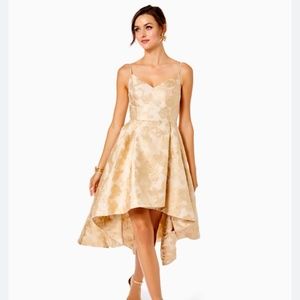 Lilly Pulitzer Alisalynn Floral Dress